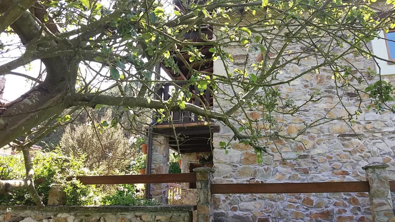 La Casina De Abo Vila San Juan de Pinera Exterior foto